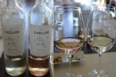 08-09 Our First Two Wines Torrentes And Rosado At Caellum Winery On Our Lujan de Cuyo Wine Tour Near Mendoza